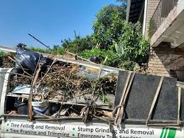 Best Yard Waste Removal  in Kearney Park, MS
